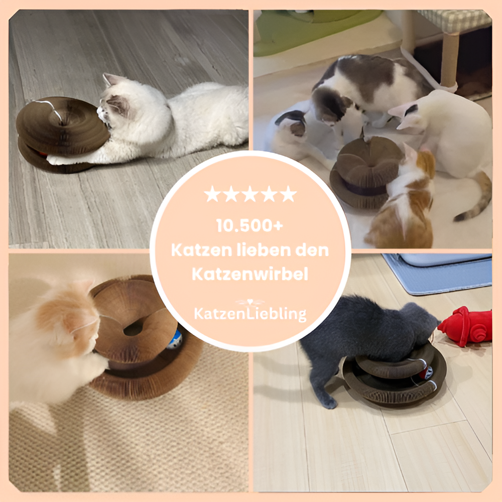 Kattenwirbel