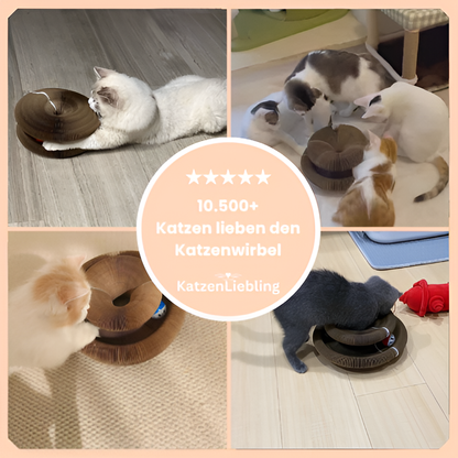 Kattenwirbel