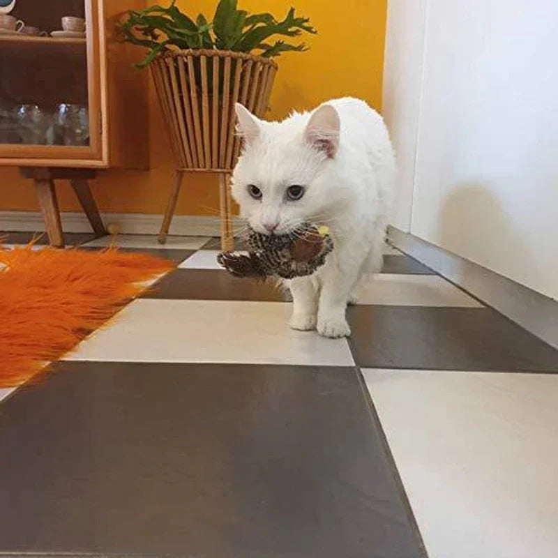 Catfri® BirdToy