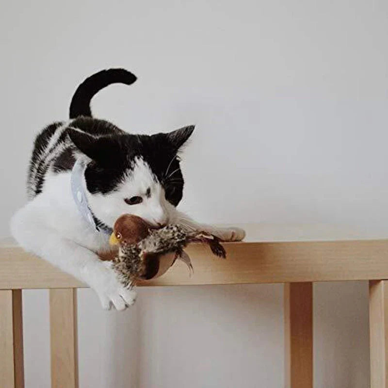 Catfri® BirdToy
