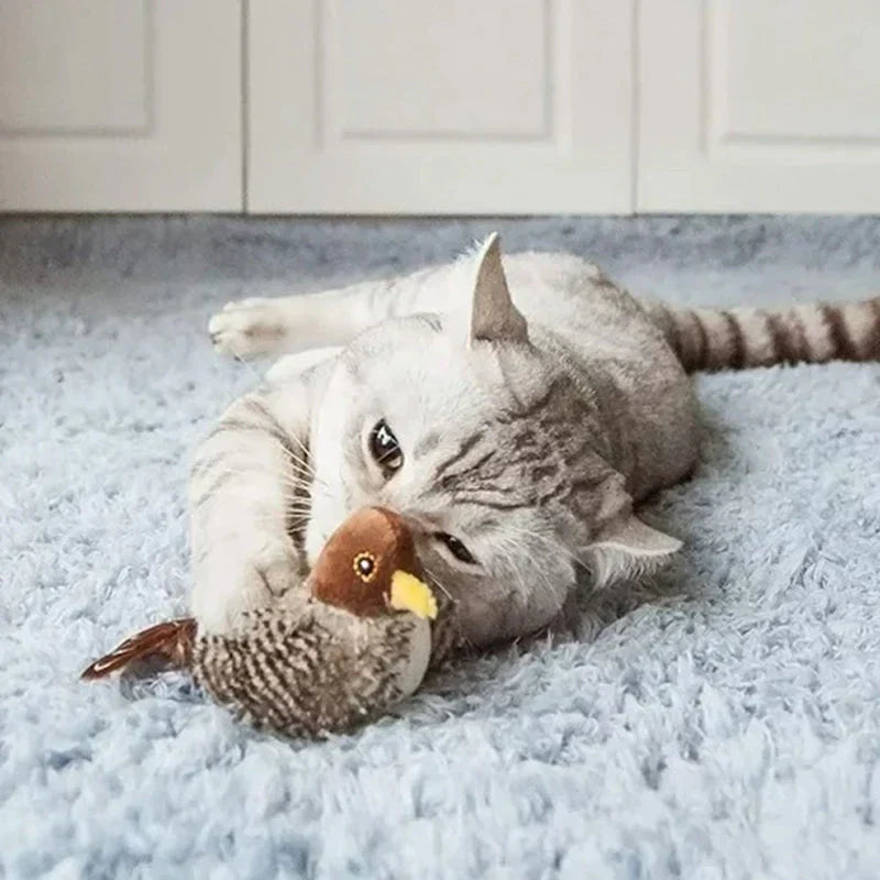 Catfri® BirdToy