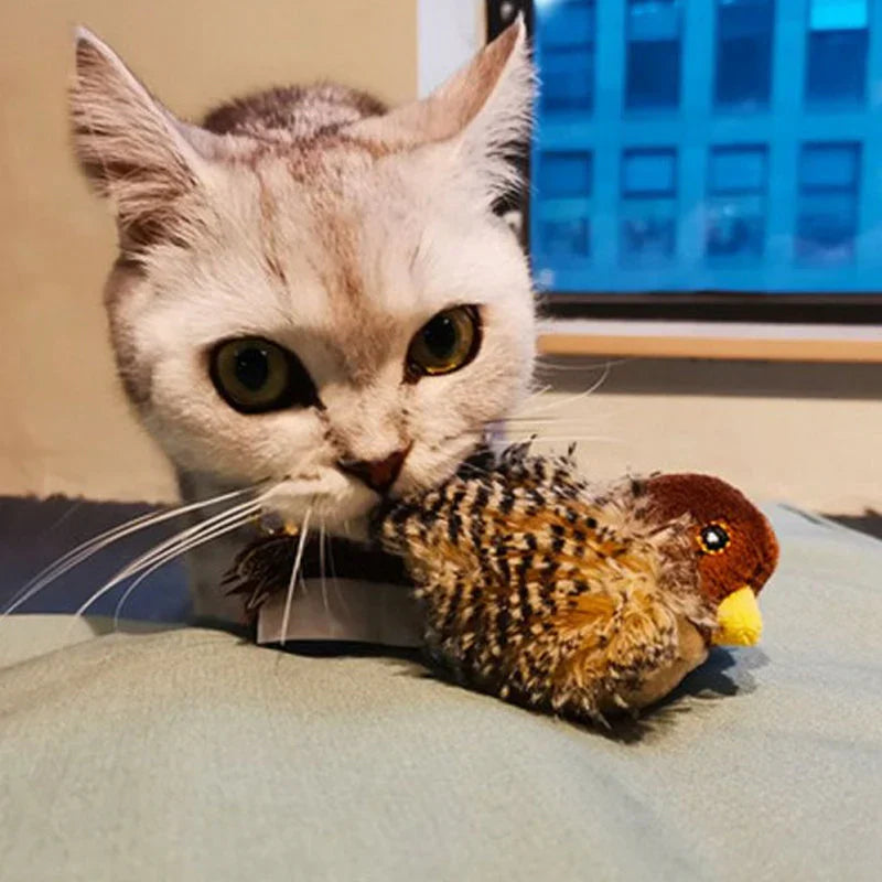 Catfri® BirdToy