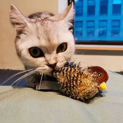 Catfri® BirdToy