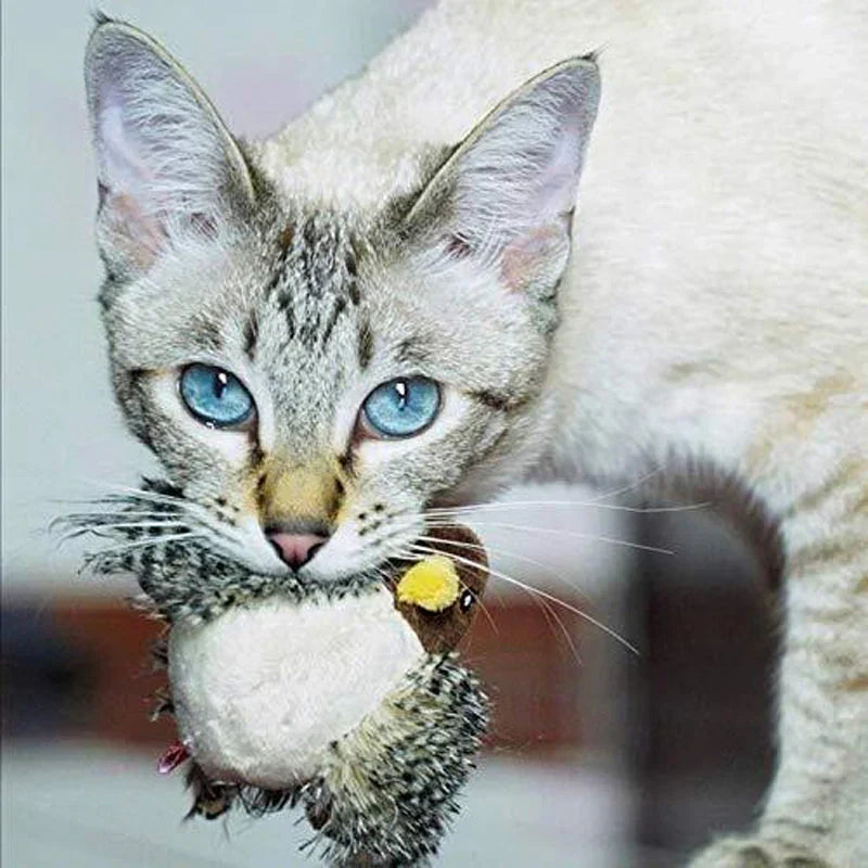 Catfri® BirdToy