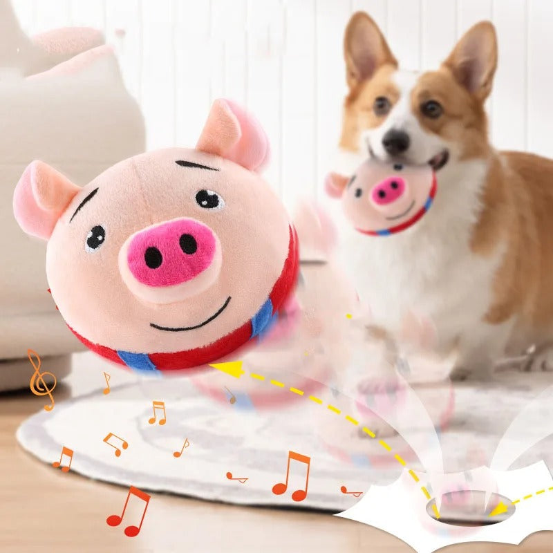 DogCatFri™ BouncingToy