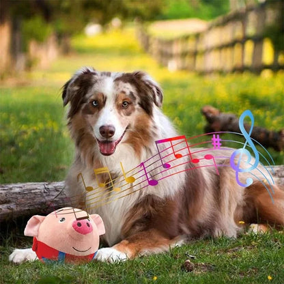 DogCatFri™ BouncingToy