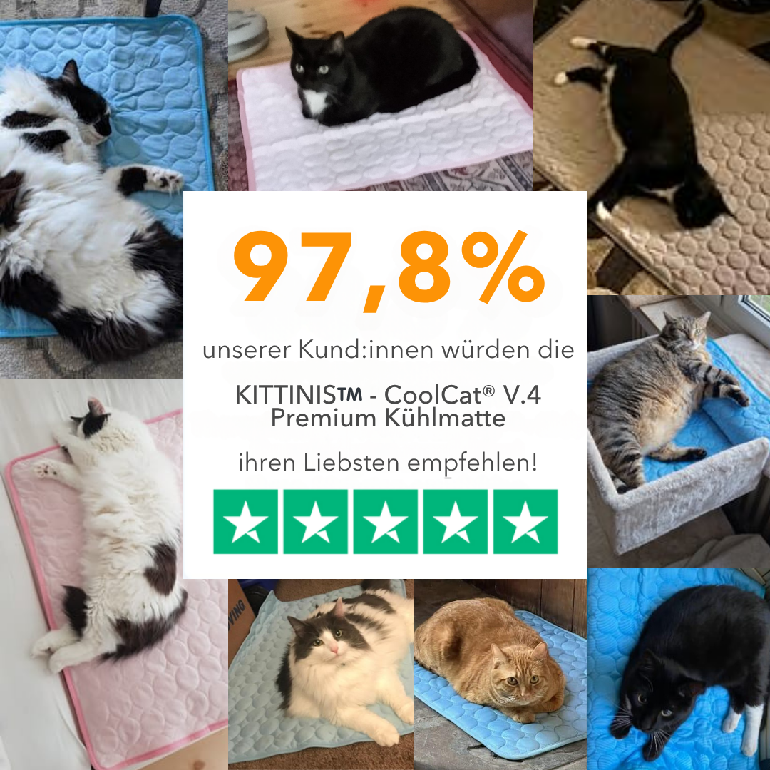 Kølebånd til katte og hunde