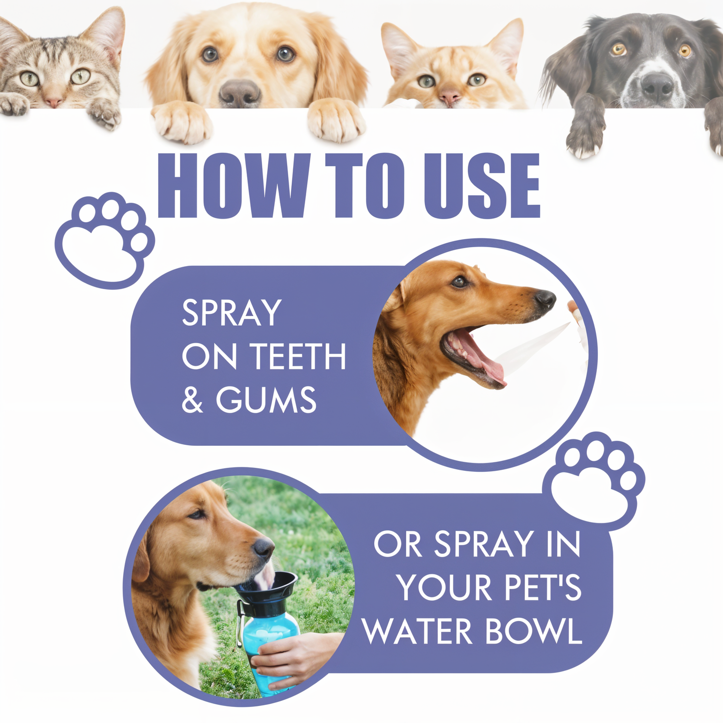 Forfriskende spray til dyreånde