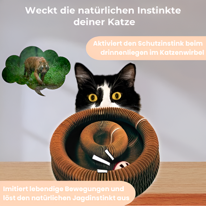 Kattenwirbel