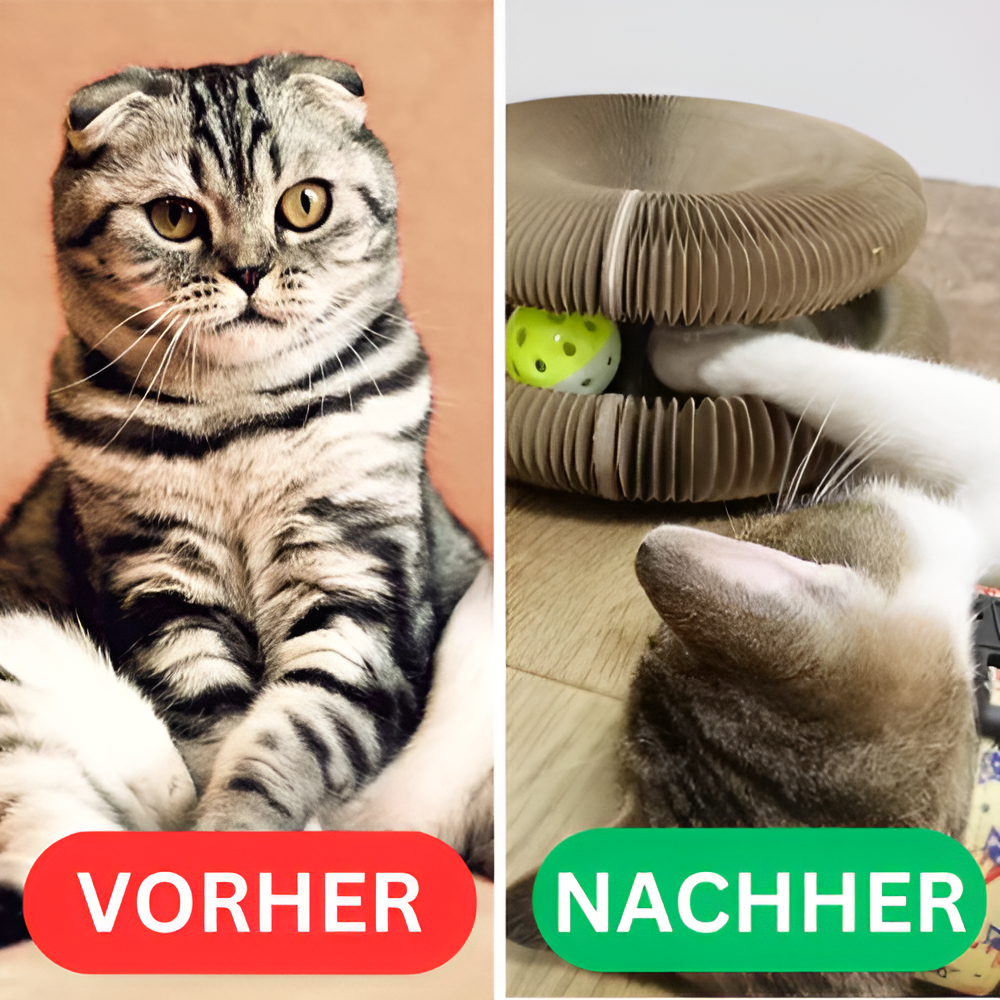 Kattenwirbel